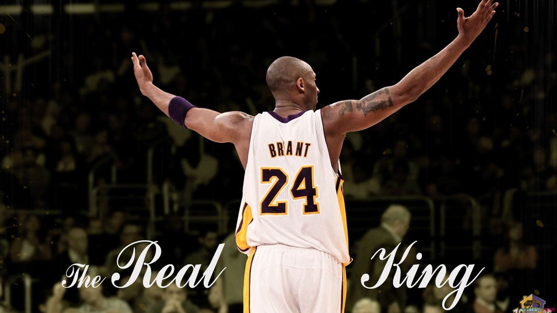 _运动员公益直播：带动全民健身热潮_，体育明星公益活动